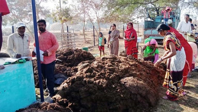 ग्राम पंचायत धौराभाठा में 31 किवंटल 27 किलो गोबर की खरीदी