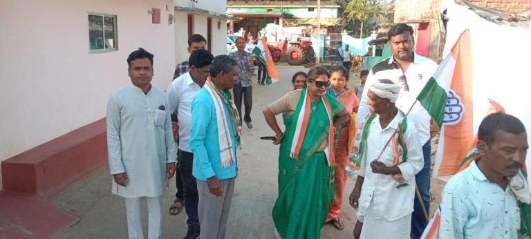 सिहावा विधायक डॉ लक्ष्मी ध्रुव सावित्री मंडावी के चुनाव प्रचार के लिए घर-घर पहुंच रही है