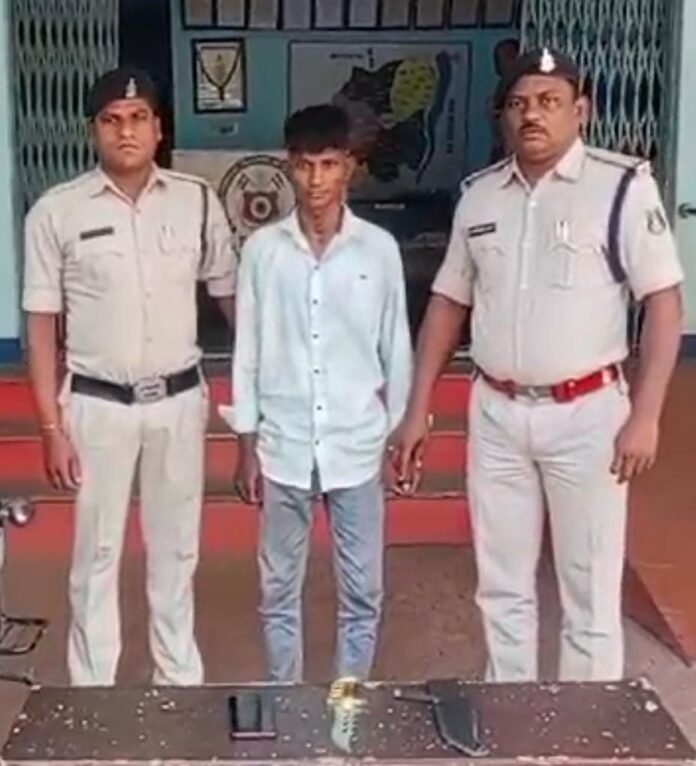 WhatsApp Image 2024-11-14 at 21.08.54