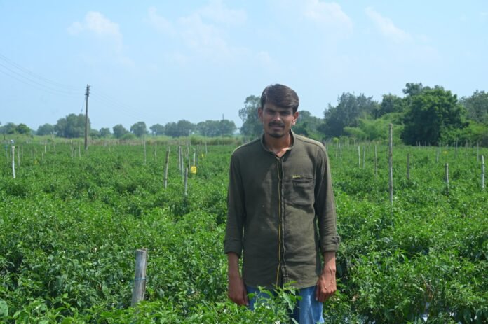 WhatsApp Image 2024-11-28 at 12.54.32