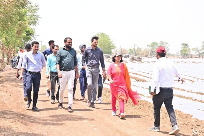kisan