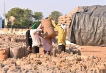 जिले में द्रुत गति से की जा रही समर्थन मूल्य पर धान खरीदी