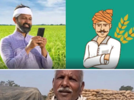 धान खरीदी प्रक्रिया में ऐतिहासिक सुधार: तूहर टोकन प्रणाली 24×7, किसानों को बड़ी राहत