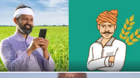 धान खरीदी प्रक्रिया में ऐतिहासिक सुधार: तूहर टोकन प्रणाली 24×7, किसानों को बड़ी राहत