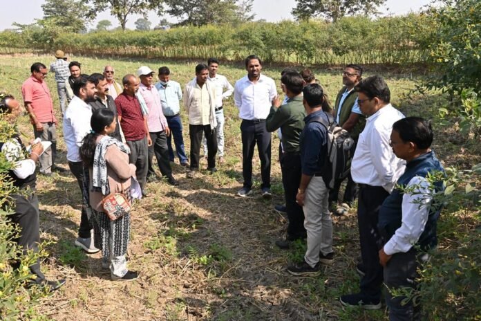 WhatsApp Image 2025-12-12 at 5.27.50 PM