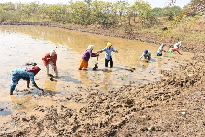 WhatsApp Image 2025-12-12 at 6.09.22 PM