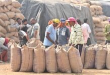 अब तक 40,874 किसानों से 19 लाख क्विंटल धान की खरीदी