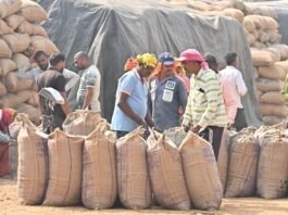 अब तक 40,874 किसानों से 19 लाख क्विंटल धान की खरीदी
