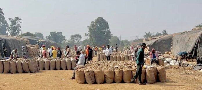 WhatsApp Image 2025-12-16 at 6.50.59 PM