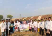 RAWE कार्यक्रम के तहत चना फसल का प्रयोगात्मक प्लॉट प्रदर्शन सफलतापूर्वक आयोजित