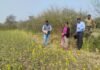 कृषि उत्पादन आयुक्त शहला निगार का धमतरी दौरा सरसों, अरहर व चना फसलों का किया निरीक्षण