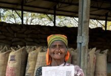 धान से दलहन तक: आत्मनिर्भरता की मिसाल बनीं बिटावन बाई ध्रुव