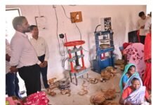 गट्टासिल्ली में महिला स्व-सहायता समूह की दोना-पत्तल एवं वाशिंग पाउडर इकाई का कलेक्टर ने किया निरीक्षण