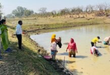 मखाना की खेती के विस्तार एवं विकास हेतु रोपण कार्य प्रारंभ