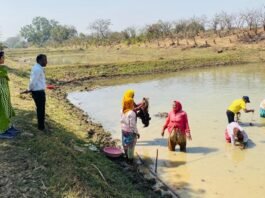 मखाना की खेती के विस्तार एवं विकास हेतु रोपण कार्य प्रारंभ