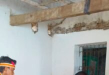 धमतरी जिले में ‘एफएमडी मुक्त भारत’ टीकाकरण अभियान प्रारंभ, 30 अप्रैल तक चलेगा विशेष अभियान