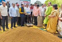 जिले में गोदाम निर्माण और चना खरीदी का शुभारंभ, किसानों को मिलेगी बेहतर सुविधा