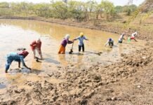 अंतर्राष्ट्रीय महिला दिवस: स्व-सहायता समूहों के माध्यम से आत्मनिर्भर बन रहीं धमतरी जिले की महिलाएं