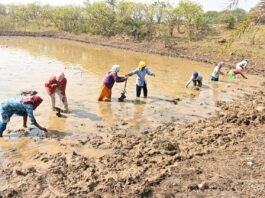 अंतर्राष्ट्रीय महिला दिवस: स्व-सहायता समूहों के माध्यम से आत्मनिर्भर बन रहीं धमतरी जिले की महिलाएं