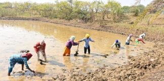 अंतर्राष्ट्रीय महिला दिवस: स्व-सहायता समूहों के माध्यम से आत्मनिर्भर बन रहीं धमतरी जिले की महिलाएं