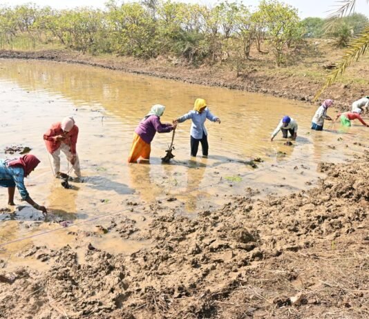 अंतर्राष्ट्रीय महिला दिवस: स्व-सहायता समूहों के माध्यम से आत्मनिर्भर बन रहीं धमतरी जिले की महिलाएं