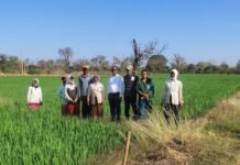 अवैध अफीम खेती पर प्रशासन सख्त: वर्तमान सर्वे में जिले में कहीं भी अफीम की अवैध खेती नहीं पाई गई