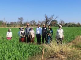 अवैध अफीम खेती पर प्रशासन सख्त: वर्तमान सर्वे में जिले में कहीं भी अफीम की अवैध खेती नहीं पाई गई