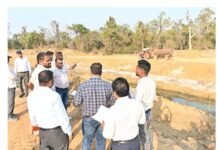 कलेक्टर ने नहर लाइनिंग कार्य का किया निरीक्षण, 4426 हेक्टेयर रकबा होगा लाभान्वित