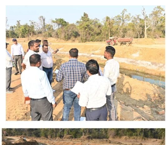 कलेक्टर ने नहर लाइनिंग कार्य का किया निरीक्षण, 4426 हेक्टेयर रकबा होगा लाभान्वित