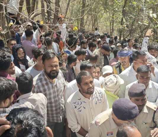 मंदिर तक पहुंच मार्ग के निर्माण, अतिरिक्त शेड निर्माण का निर्माण सहित अन्य सभी जरूरी व्यवस्था पूरी होंगी : कलेक्टर श्री मिश्रा