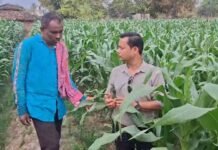 फसलचक्र परिवर्तन बना संजीवनी: बढ़ी आय, बचा पानी