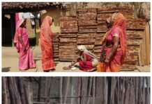 साझी मेहनत, साझा समृद्धि — ‘बिहान’ से बदल रहा ग्रामीण महिला जीवन