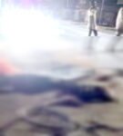 धमतरी में दर्दनाक सड़क हादसा: अज्ञात वाहन की टक्कर से साइकिल सवार की मौके पर मौत