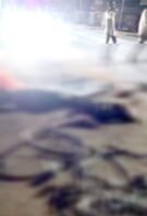 धमतरी में दर्दनाक सड़क हादसा: अज्ञात वाहन की टक्कर से साइकिल सवार की मौके पर मौत