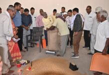 धमतरी जिला चना खरीदी में प्रदेश में अग्रणी, 76 हजार क्विंटल खरीदी पूरी