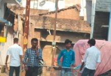 धमतरी नगर निगम की पहल: डॉग बाइट की समस्या के समाधान हेतु पशु जनसंख्या नियंत्रण अभियान तेज