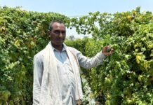 वाटरशेड योजना बनी किसान श्री छबी लाल के लिए समृद्धि का आधार