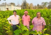 सिल्क समग्र-2 योजना से धमतरी के ग्रामीणों को मिल रहा आत्मनिर्भरता का नया आधार शहतूत खेती, कृमिपालन और धागाकरण से बढ़ रही किसानों एवं महिलाओं की आय