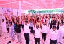राधा कृष्ण परिसर में सैकड़ों विद्यार्थियों ने किया योगाभ्यास