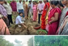 नगरी में हल्दी की वैज्ञानिक खेती को मिलेगा नया आयाम
