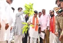 एक पेड़ मां के नाम” अभियान के तहत प्रभारी मंत्री ने किया पौधारोपण