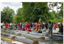 ग्राफ्टेड सब्जी उत्पादन से किसानों की आय बढ़ाने की पहल, केरेमुड़ा में आयोजित हुआ वैज्ञानिक प्रशिक्षण