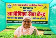 आईएफसी नर्सरी बनी धमतरी के किसानों की नई उम्मीद: ‘बिहान’ से बदल रही ग्रामीण अर्थव्यवस्था
