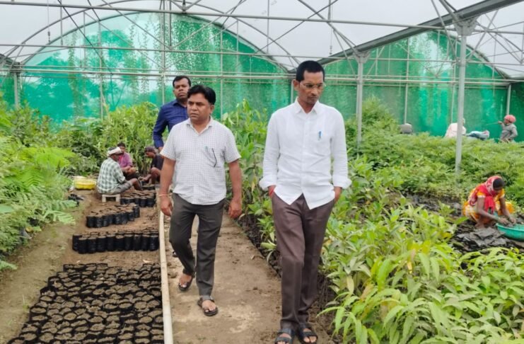 जिला पंचायत अध्यक्ष अरुण सार्वा ने कुरूद विकासखंड के विभिन्न ग्रामों का दौरा कर वृक्षारोपण, ग्रामीण अधोसंरचना, अमृत सरोवर, नर्सरी, प्रशिक्षण केंद्रों एवं खेल मैदानों का निरीक्षण किया।