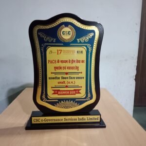CSC स्थापना दिवस पर धमतरी को राज्य स्तरीय सम्मान