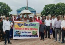 वैज्ञानिक पशुपालन से आत्मनिर्भरता की ओर बढ़ीं महिला पशुपालक धमतरी के गौधाम एवं गोविन्दी देव गौशाला में शैक्षणिक भ्रमण के दौरान महासमुंद की महिला पशुपालक वैज्ञानिक पशुपालन, कृत्रिम गर्भाधान, संतुलित पशु पोषण और आधुनिक तकनीकों की जानकारी प्राप्त करते हुए।