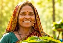 23,723 तेन्दूपत्ता संग्राहक परिवारों को मिलेगा 3.92 करोड़ रुपये का बोनस