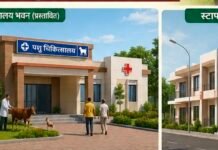 कुरूद में बनेगा नवीन पशु चिकित्सालय भवन, स्टाफ क्वार्टर की भी होगी सुविधा