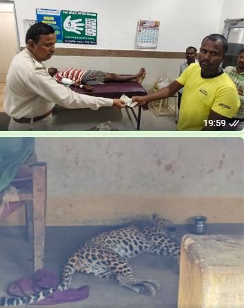 घायलों का अस्पताल में उपचार, वन्यजीव संरक्षण अधिनियम के तहत प्रकरण दर्ज, मौत के कारणों की न्यायिक जांच जारी