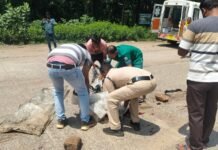 नेशनल हाईवे-30 पर दर्दनाक हादसा: बस के नीचे फंसा बाइक सवार, मौके पर मौत धमतरी नेशनल हाईवे-30 पर बस और बाइक की भिड़ंत का हादसा